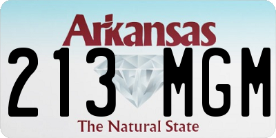 AR license plate 213MGM