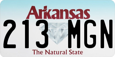 AR license plate 213MGN