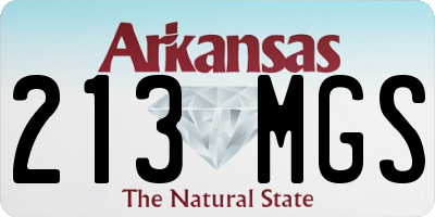 AR license plate 213MGS