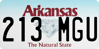 AR license plate 213MGU