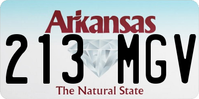 AR license plate 213MGV