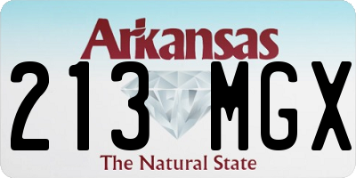 AR license plate 213MGX