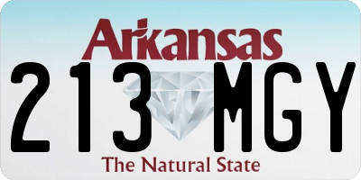 AR license plate 213MGY