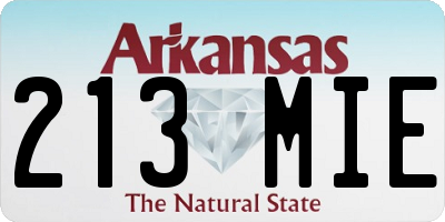 AR license plate 213MIE