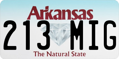 AR license plate 213MIG