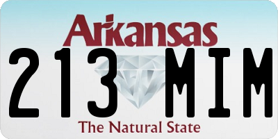 AR license plate 213MIM