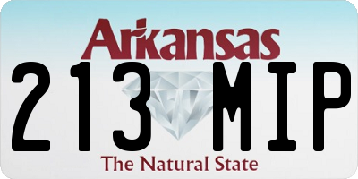 AR license plate 213MIP