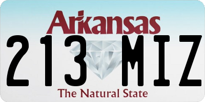 AR license plate 213MIZ