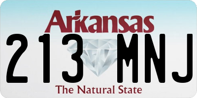 AR license plate 213MNJ