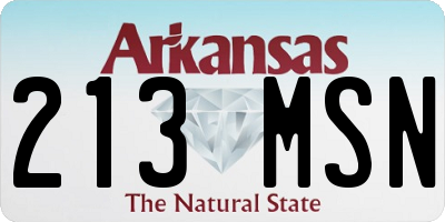 AR license plate 213MSN
