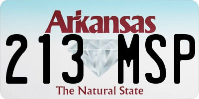 AR license plate 213MSP