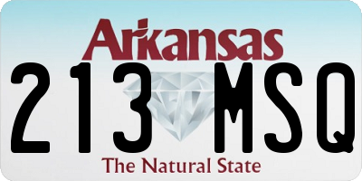 AR license plate 213MSQ