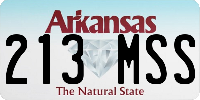 AR license plate 213MSS