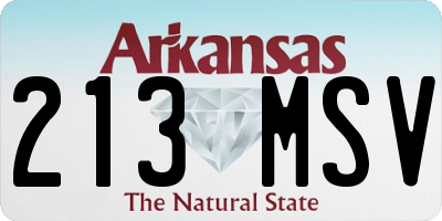 AR license plate 213MSV