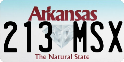 AR license plate 213MSX