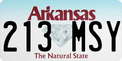AR license plate 213MSY