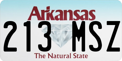 AR license plate 213MSZ