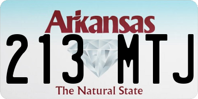 AR license plate 213MTJ