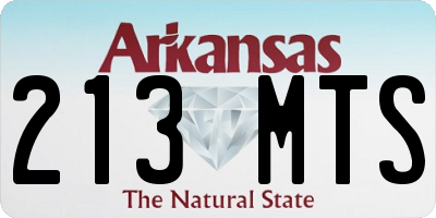 AR license plate 213MTS