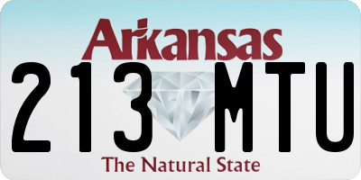AR license plate 213MTU