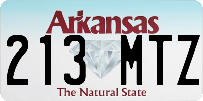 AR license plate 213MTZ