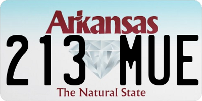 AR license plate 213MUE