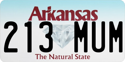 AR license plate 213MUM