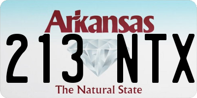 AR license plate 213NTX