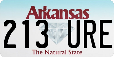 AR license plate 213URE