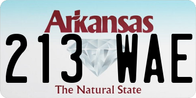 AR license plate 213WAE