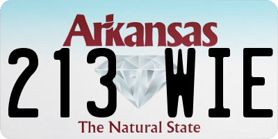AR license plate 213WIE