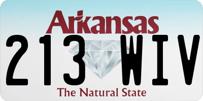AR license plate 213WIV