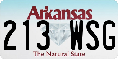 AR license plate 213WSG