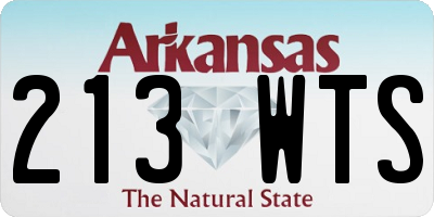 AR license plate 213WTS