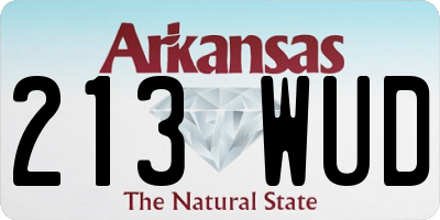 AR license plate 213WUD
