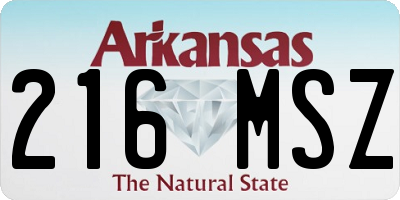 AR license plate 216MSZ