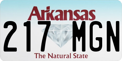 AR license plate 217MGN