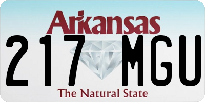 AR license plate 217MGU