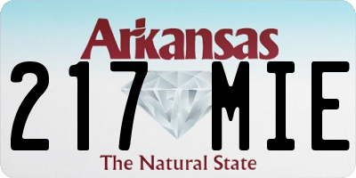 AR license plate 217MIE