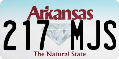 AR license plate 217MJS