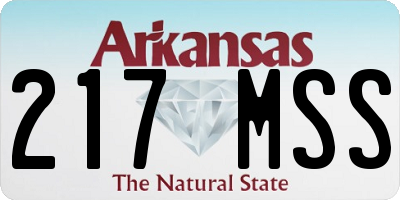 AR license plate 217MSS