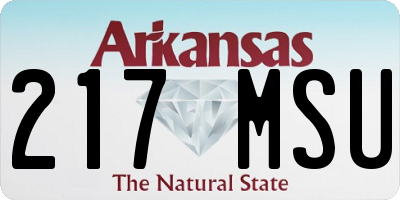AR license plate 217MSU