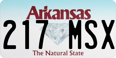 AR license plate 217MSX