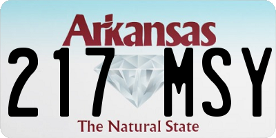 AR license plate 217MSY
