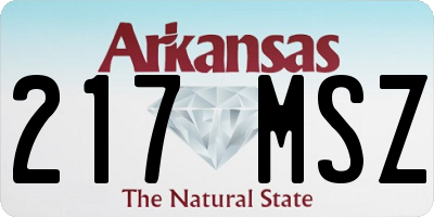 AR license plate 217MSZ