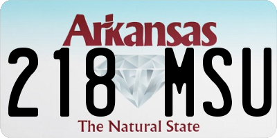 AR license plate 218MSU
