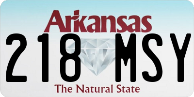 AR license plate 218MSY