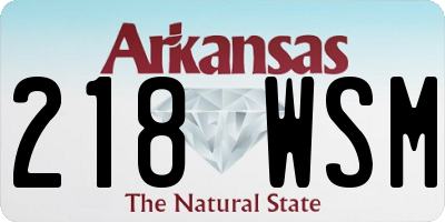AR license plate 218WSM