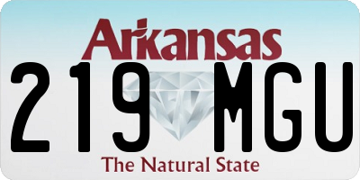 AR license plate 219MGU