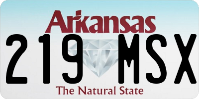 AR license plate 219MSX